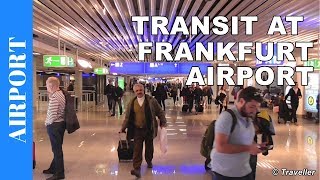 TRANSIT WALK AT FRANKFURT Airport FRA Terminal 1  Connection Flight Transfer Arriving amp Departing [upl. by Llenyar]